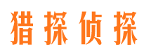 合作侦探公司